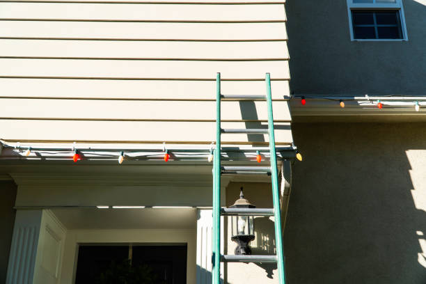 Best Brick Veneer Siding  in Del Rey, CA